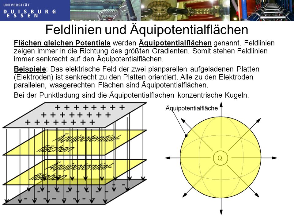 warum zeigen feldlinien in richtung abnehmenden elektrischen potentials